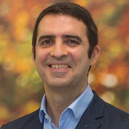 Gonzalo Flandes Aldeyturriaga