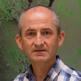 Ricardo Ibáñez