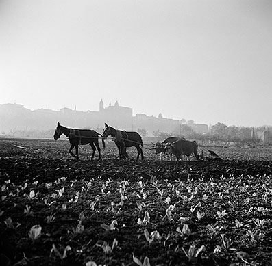 "Vista de Pamplona"