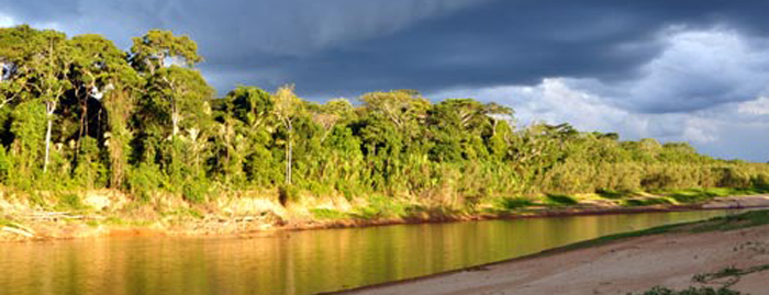 Expedición a la selva del Madidi (Bolivia) 2011