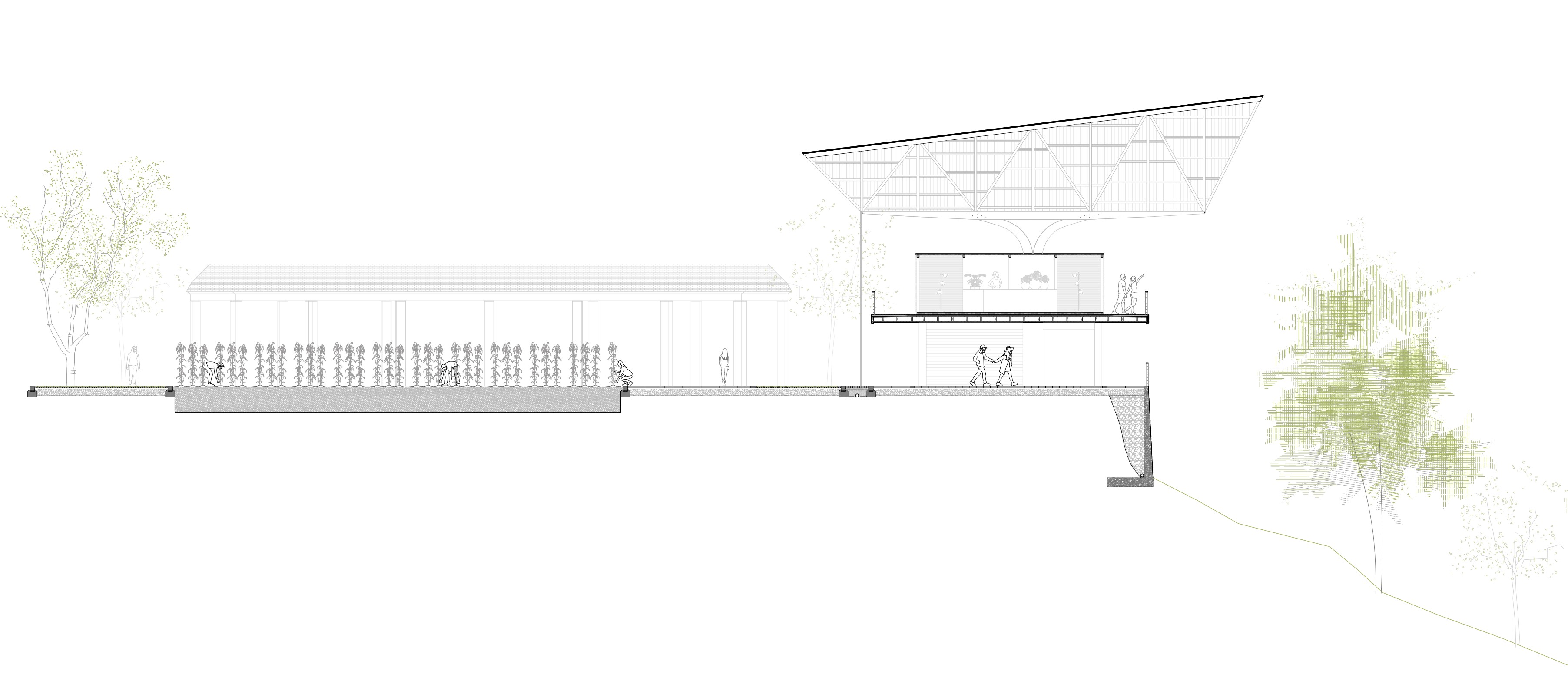 Proyecto de Alberto Rodríguez