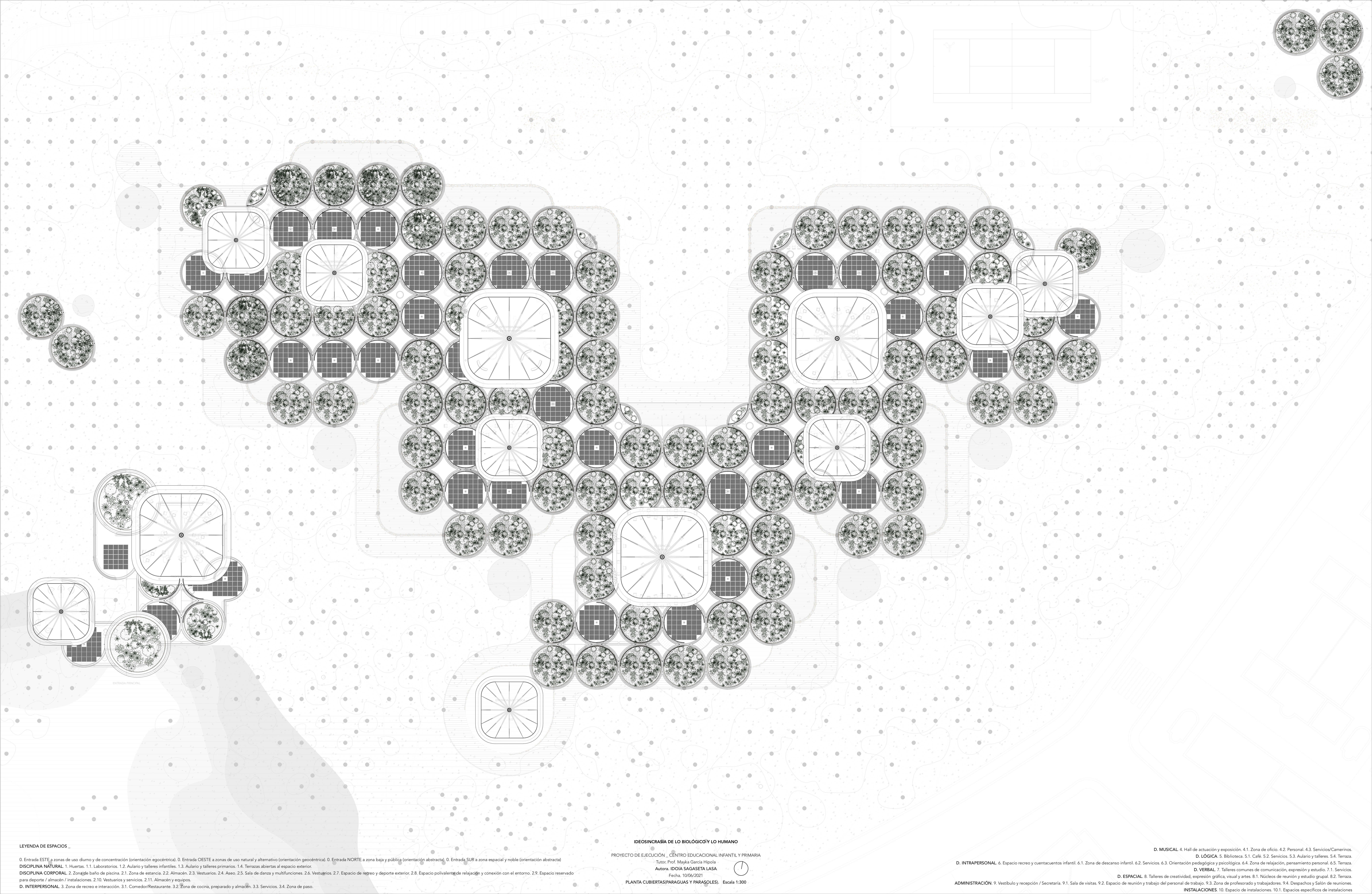Proyecto de Idoia Sagaseta