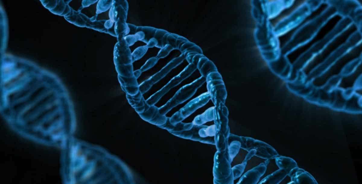 Biología y subjetividad