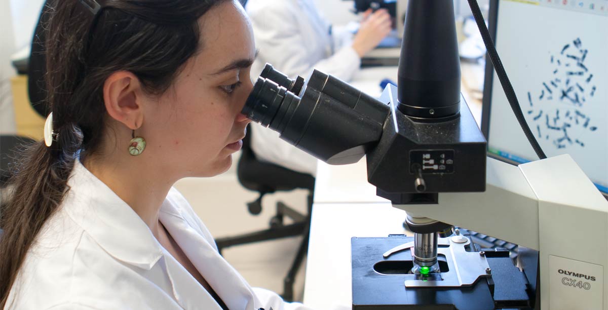 Grupos y centros de investigación de la Facultad de Farmacia y Nutrición