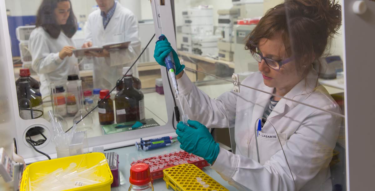 Profesores e investigación - Facultad de Farmacia y Nutrición