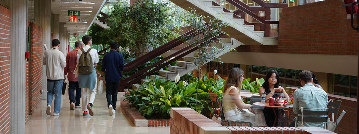 Escuela de Arquitectura