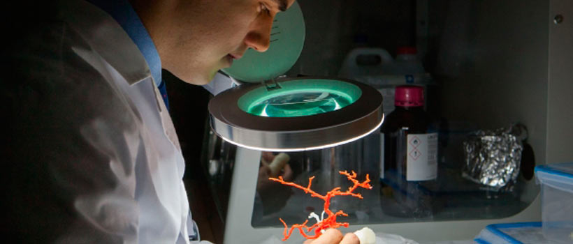 Capacitación en la experimentación animal