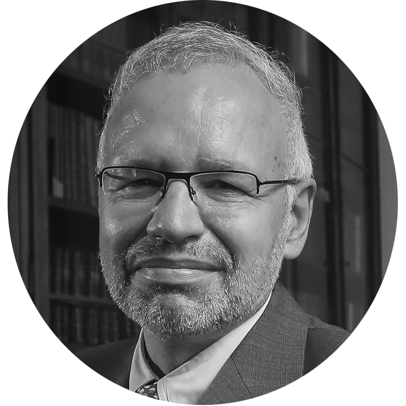 Prof. Manuel Martínez-Sellés