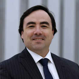 Gonzalo García Palominos